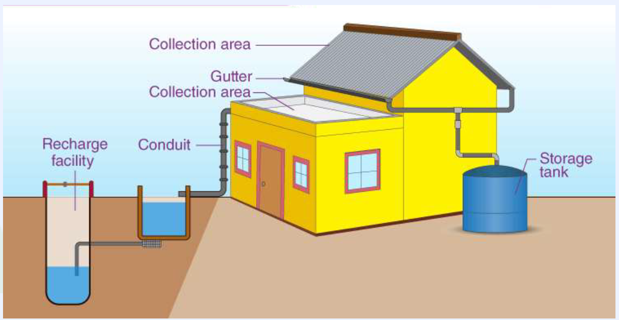 Rainwater harvesting